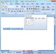Word2007文档中隐藏文字的设置方法